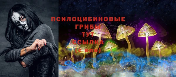 хмурый Волосово