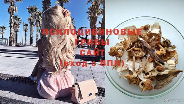 хмурый Волосово